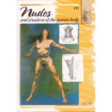 No10: Nudes and structure of the human body